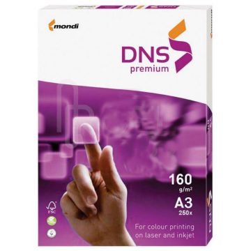 Carton Copiator A3 Alb 160g 250/Top Dns