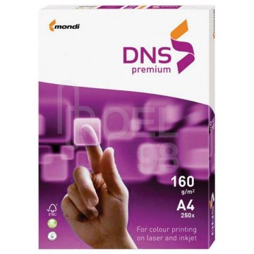 Carton Copiator A4 Alb 160g 250/Top Dns