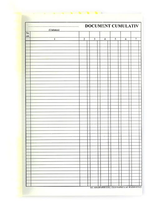 Document Cumulativ A4 Vertical