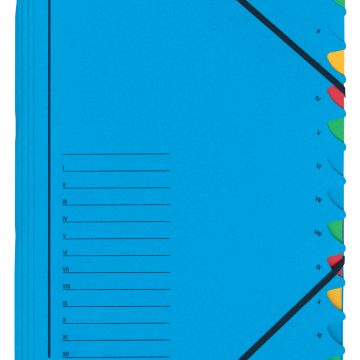 Mapa Carton Cu Elastic 12 Separatoare Fashion Leitz