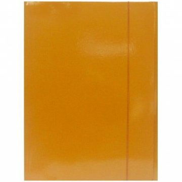 Mapa Carton Cu Elastic Portocalie 600g Fornax