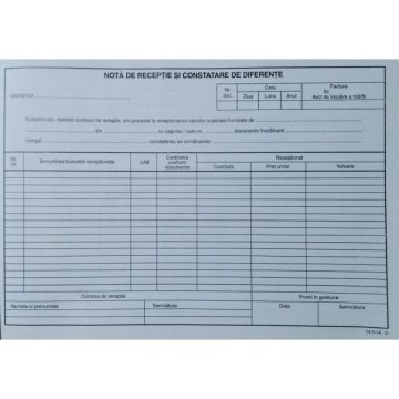 Nota Receptie Constatare Diferente Fara Tva