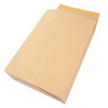 Plic B4 Silicon Burduf 150mm 120g 250*353mm Maro Tip T Gpv