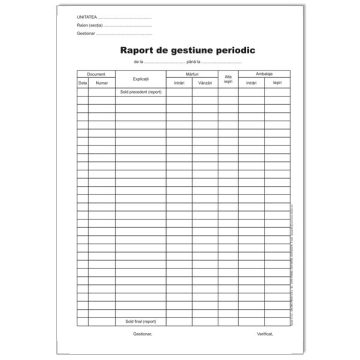Raport De Gestiune Periodic