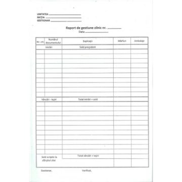 Raport De Gestiune Zilnic Autocopiativ